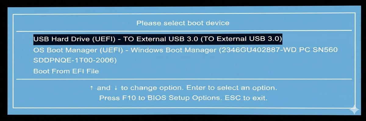 Example of UEFI/BIOS Boot Menu