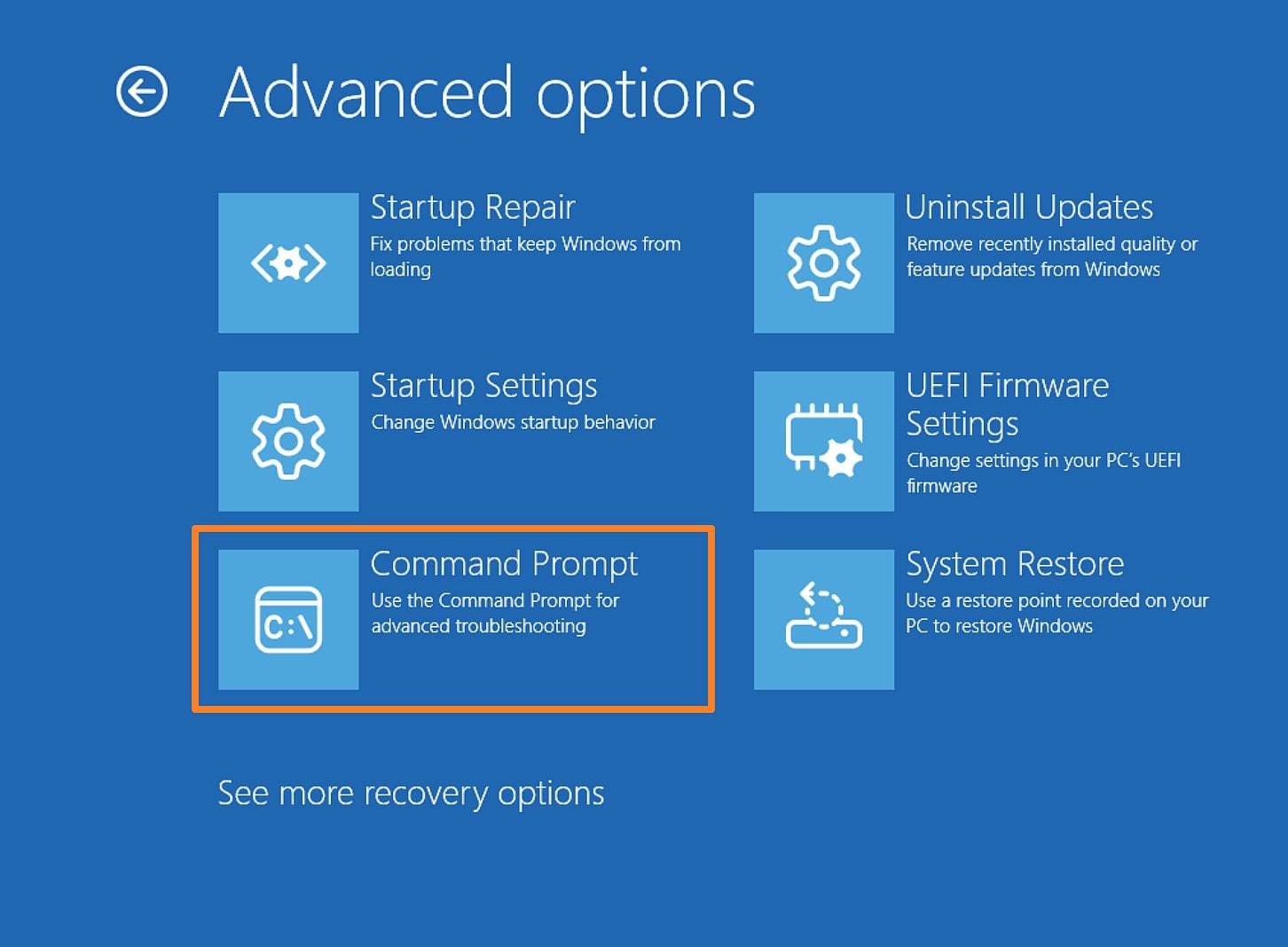 The Command Prompt in the Windows Recovery Environment